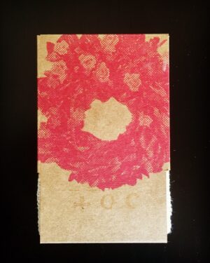 +øc / Transferencia | Cassette (¡AGOTADO!)